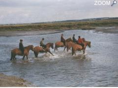 фотография de Centre Equestre de la Baie de Somme